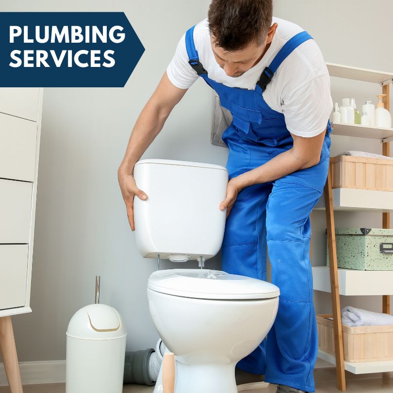 Plumbing Company in Stevensville, MI